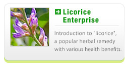 Licorice Enterprise - Introduction to licorice, a popular herbal remedy with various health benefits.